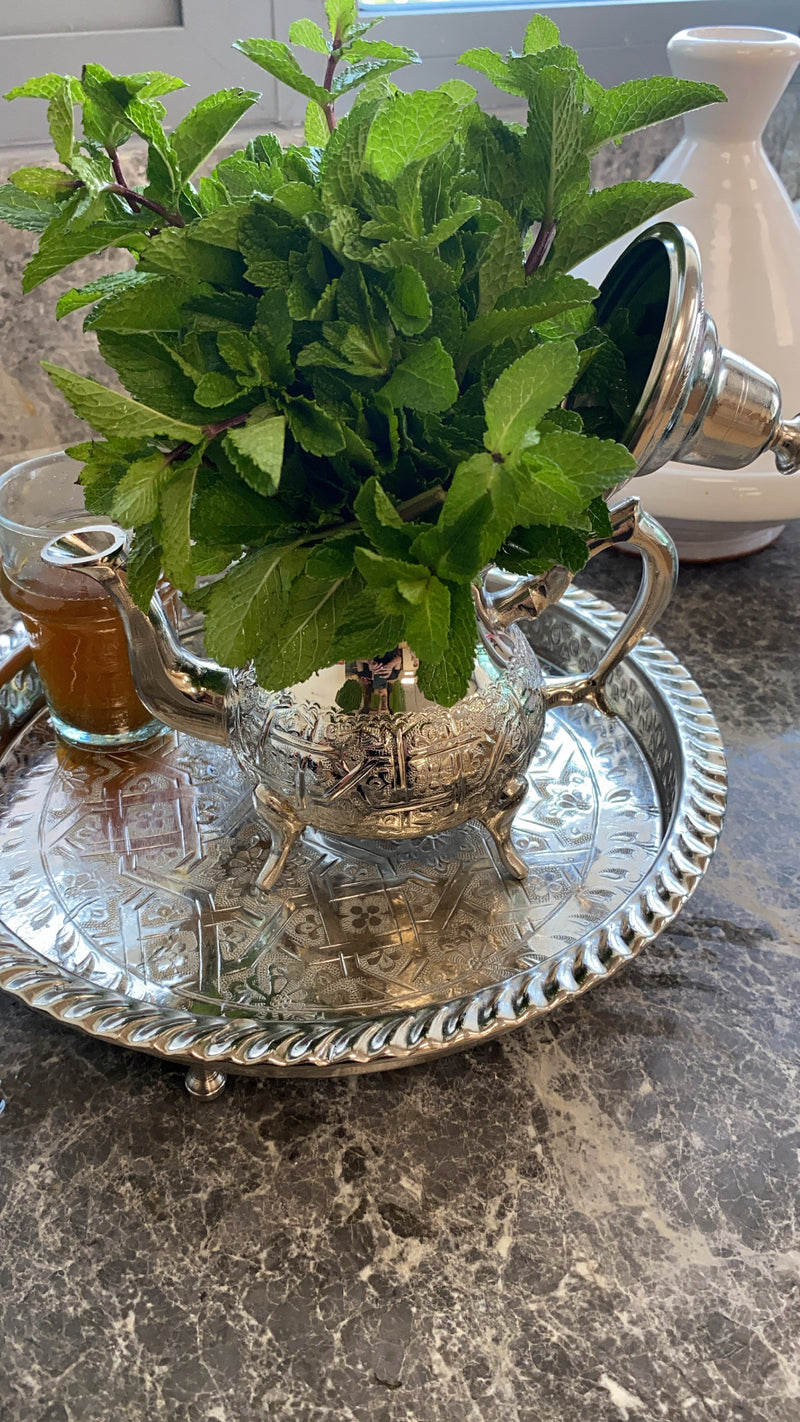 Moroccan Traditional Teapot